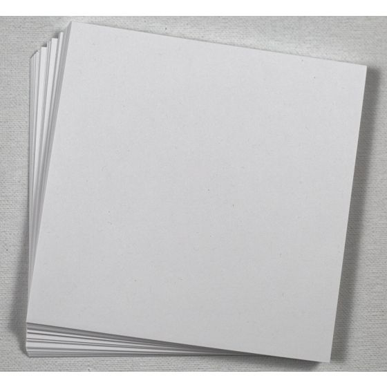 Cougar White (2) Flat Cards Available at PaperPapers
