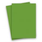 French Paper - POPTONE Gumdrop Green - 8.5X14 (70T/104gsm) TEXT Paper - 250 PK