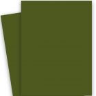 POPTONE Jellybean Green - 26X40 (65C/175gsm) Lightweight Card Stock Paper