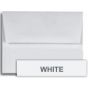 Cougar White (1) Envelopes Order at PaperPapers