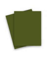 French Paper - POPTONE Jellybean Green - 8.5X11 (65C/175gsm) Lightweight Card Stock Paper - 250 PK